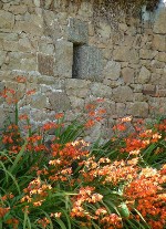 Gite en Bretagne vielles pierres et fleurs